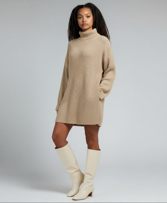 Luna Turtleneck Dress